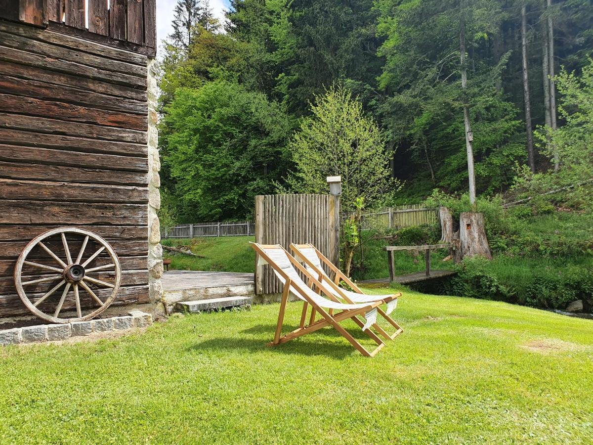 Naturidyll Kollnbergmuehle Furstenstein Exterior photo