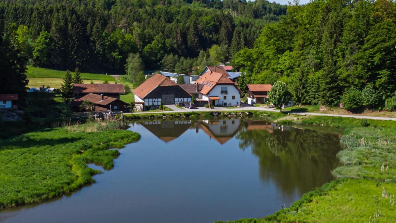 Naturidyll Kollnbergmuehle Furstenstein Exterior photo